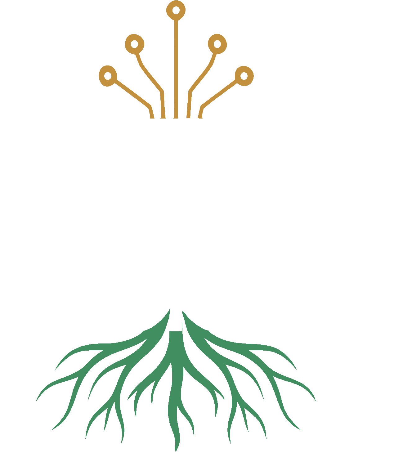Intsusa Group